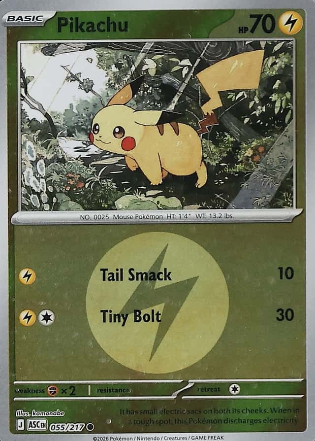 Reverse Holo