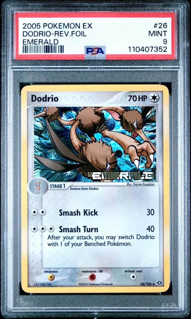 Dodrio