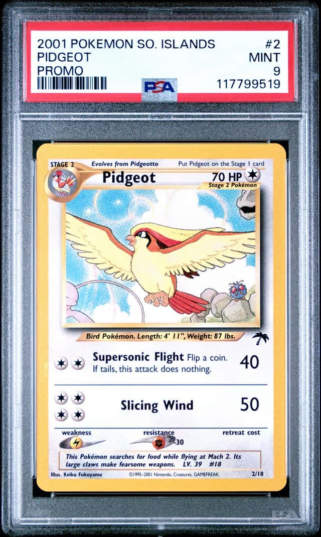 Pidgeot