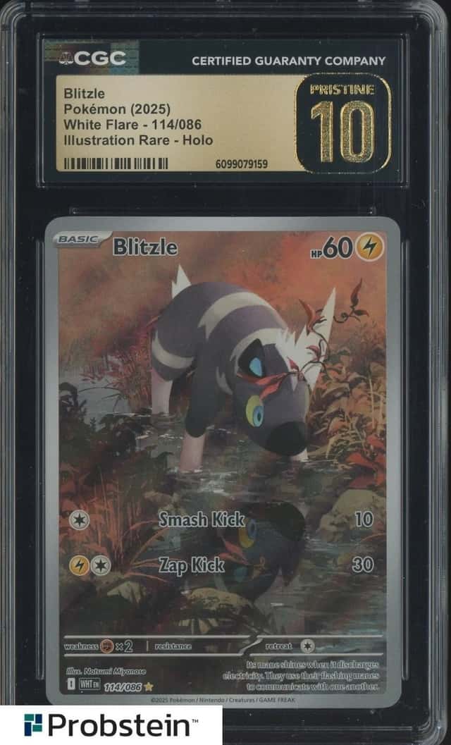 Blitzle