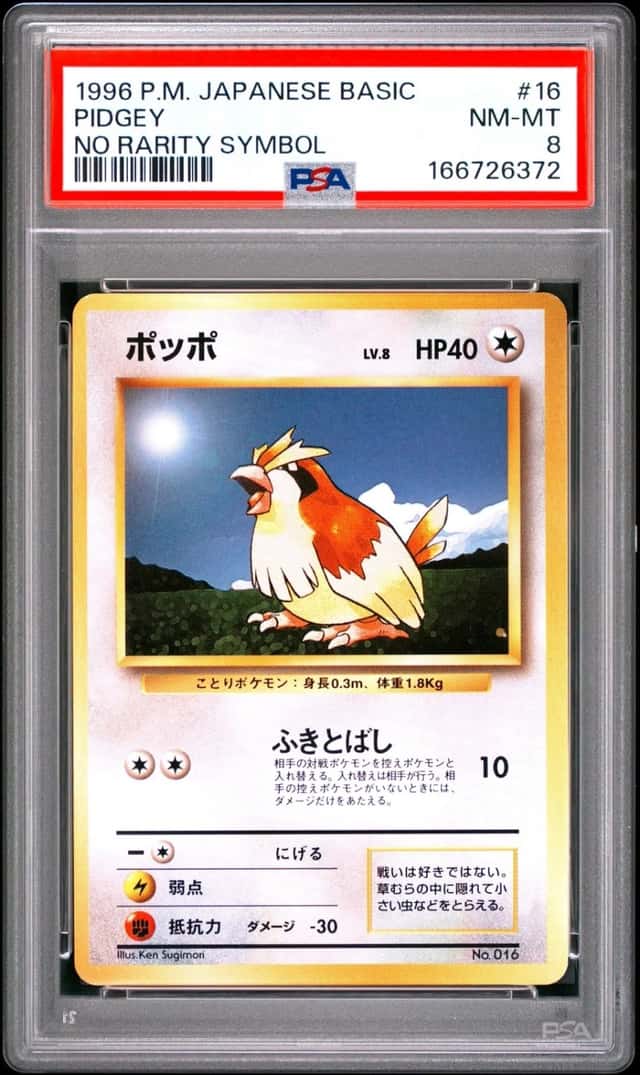 Pidgey