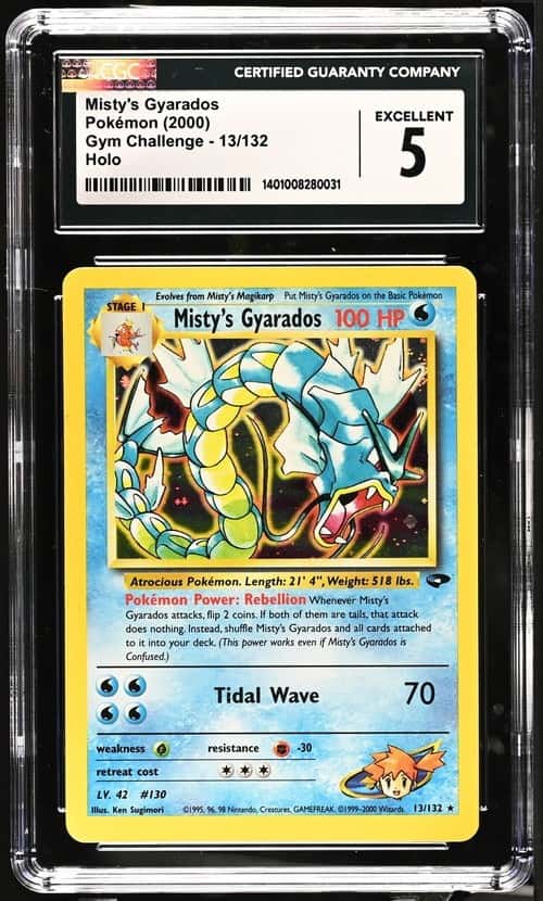 Misty's Gyarados