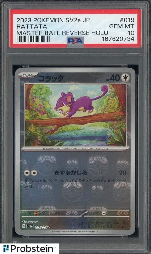 Rattata