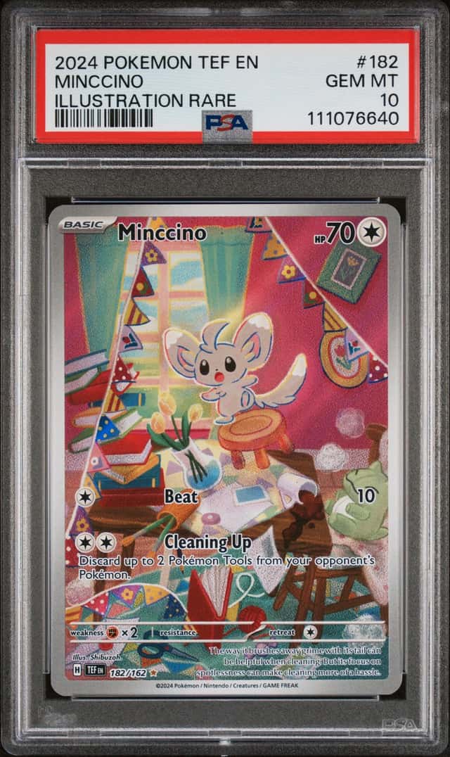 Minccino