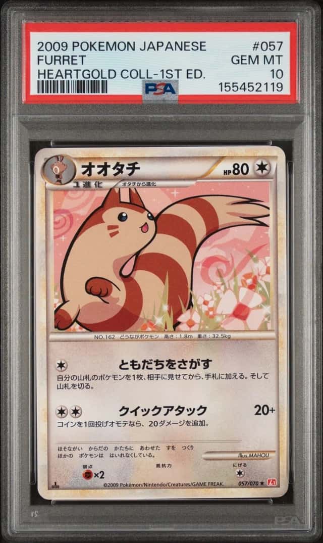Furret