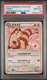 Furret
