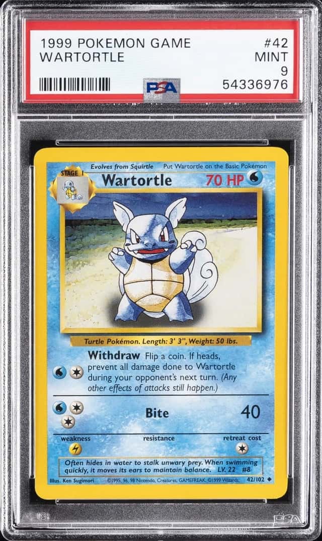 Wartortle