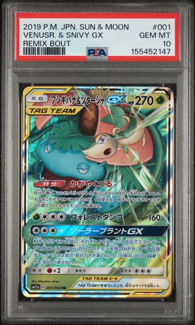 Venusaur & Snivy GX