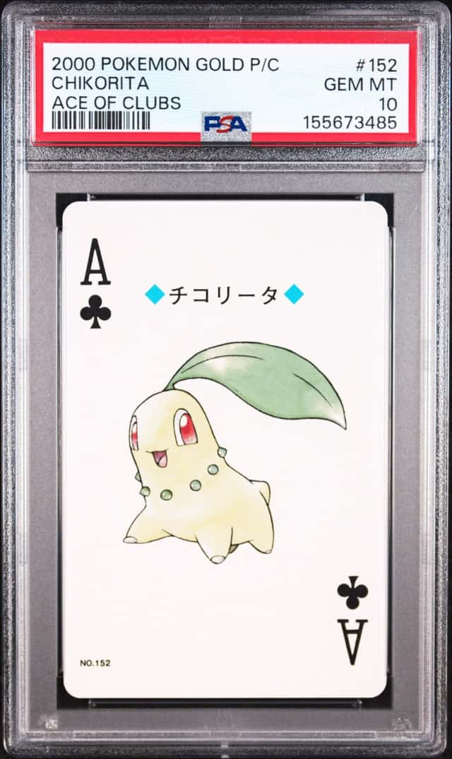 Chikorita