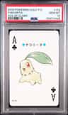 Chikorita