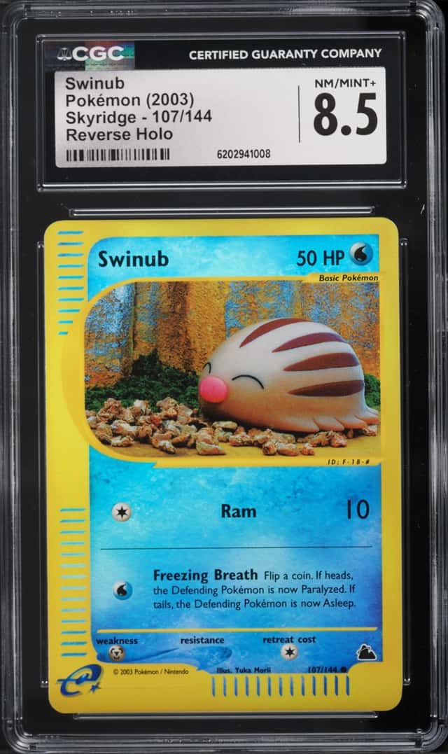 Swinub