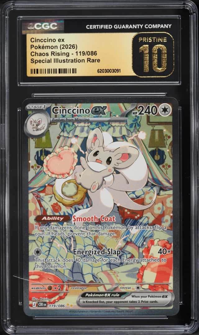 CINCCINO ex
