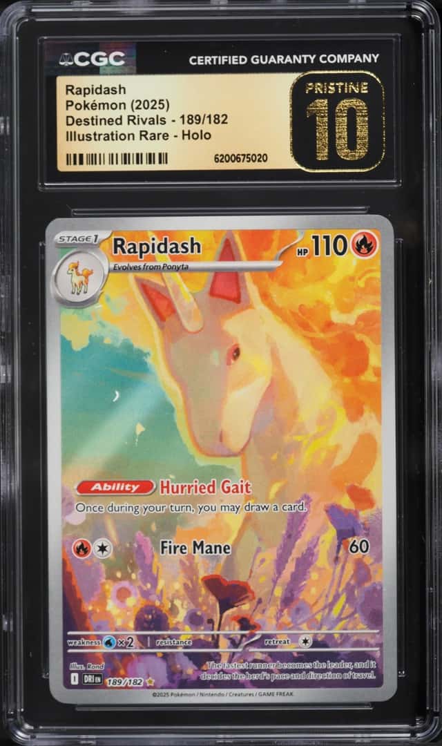 Rapidash
