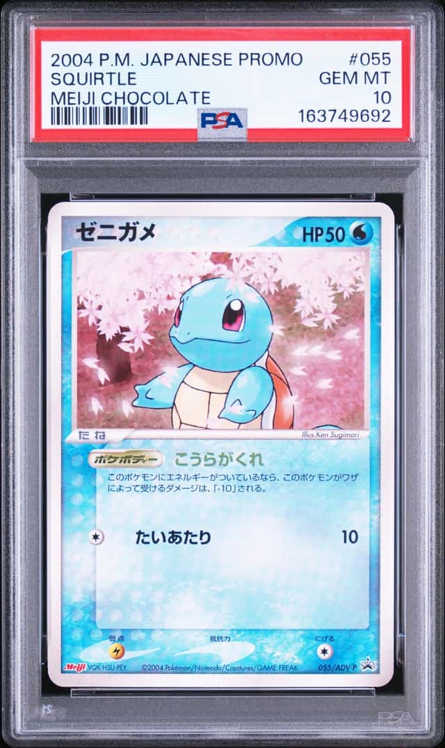 Squirtle