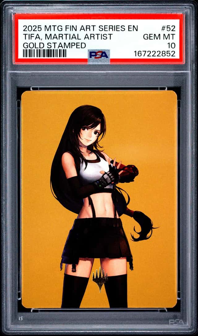 Tifa, Martial Artist