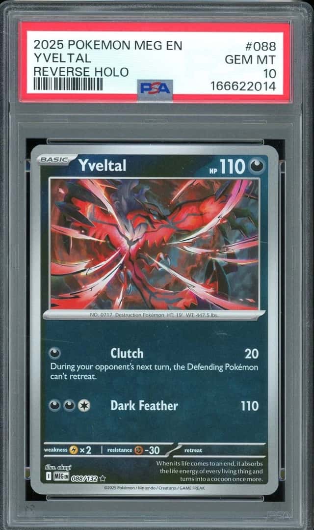 Yveltal