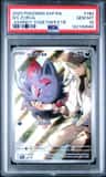N'S Zorua