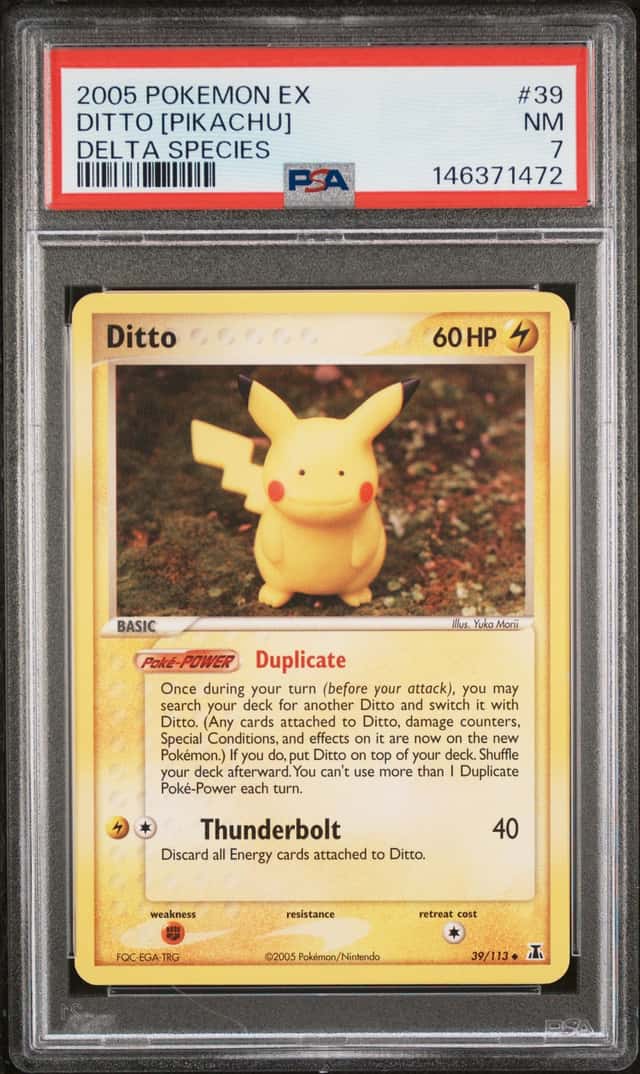Ditto
