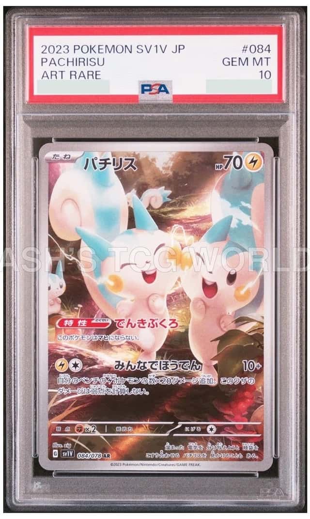 Pachirisu