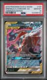 Greninja & Zoroark Gx