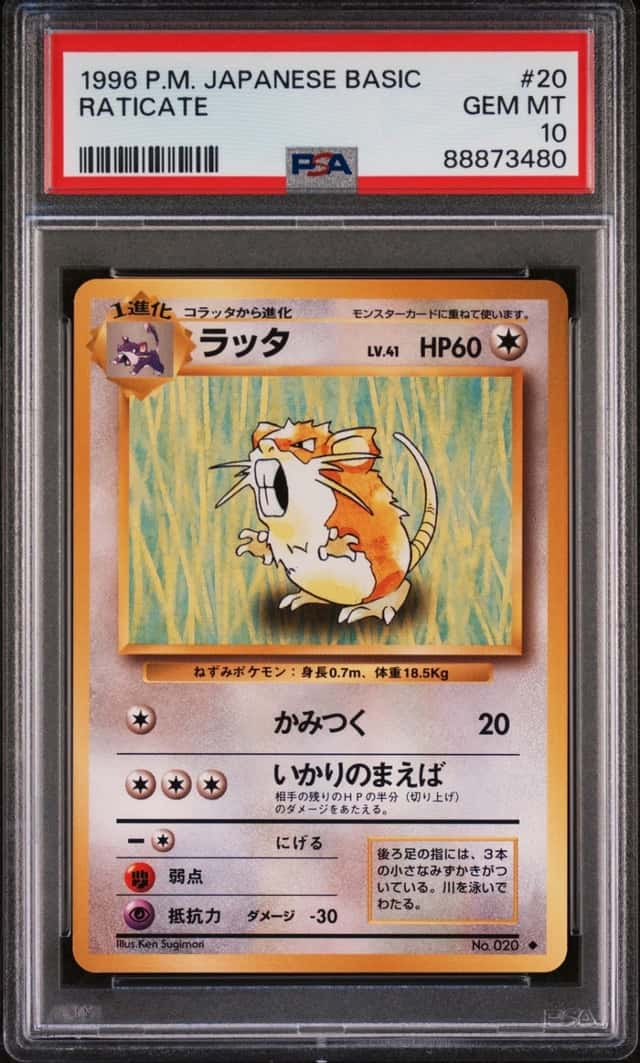 Raticate