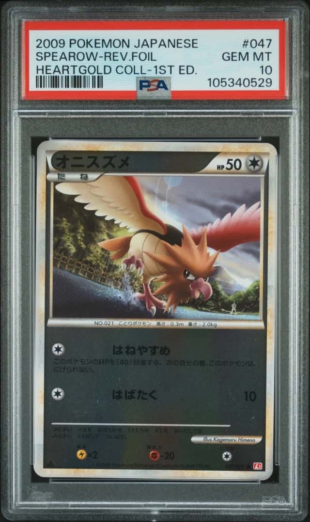 Spearow