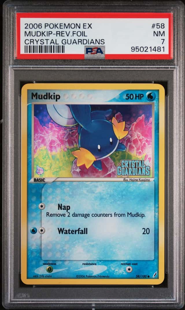 Mudkip