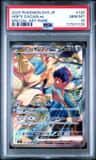Hop'S Zacian Ex