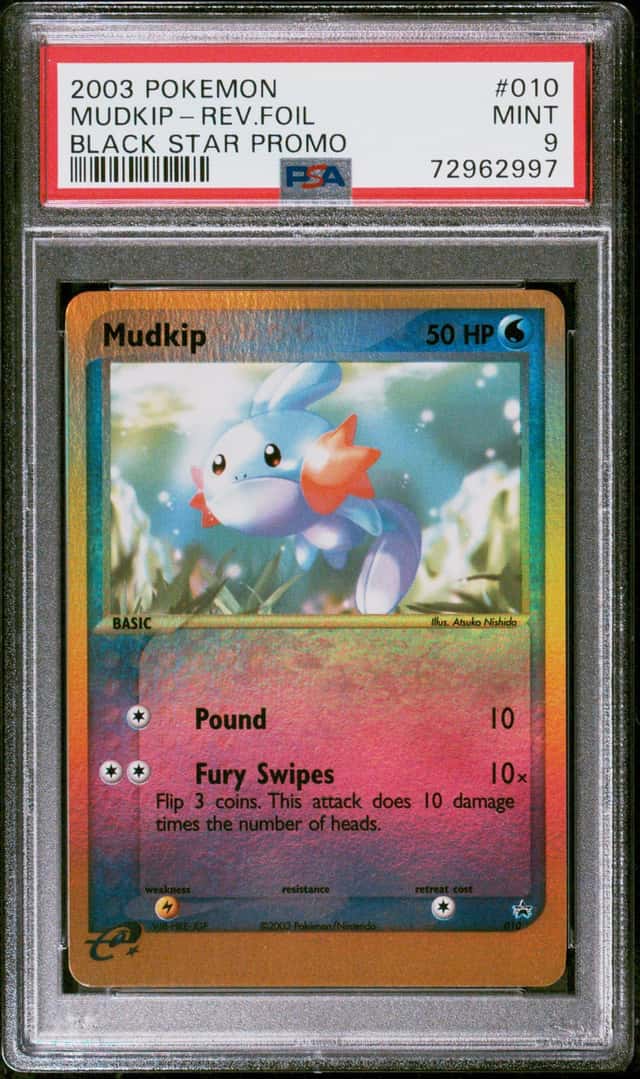 Mudkip