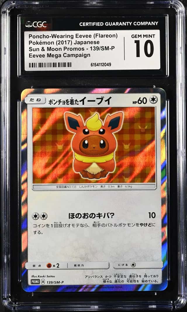 Poncho-Wearing Eevee