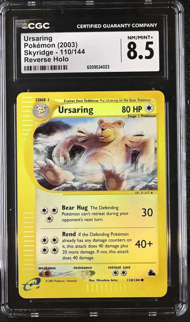 Ursaring