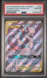 Mewtwo & Mew Gx