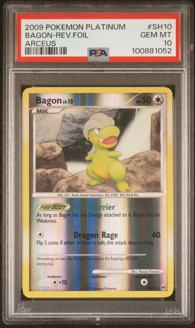 Bagon