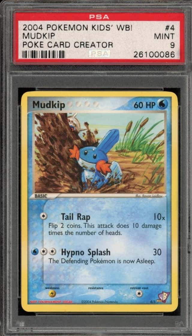 Mudkip