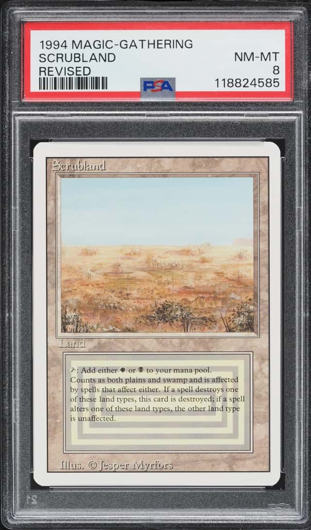 Scrubland