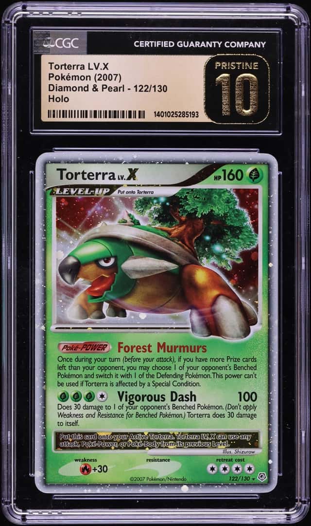 TORTERRA LV.X