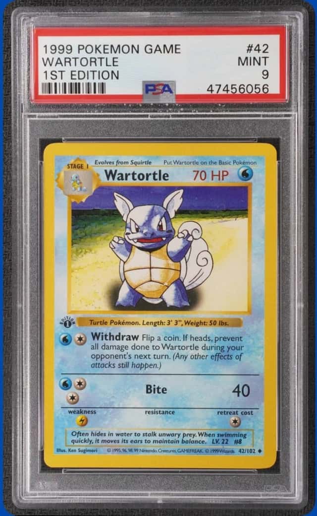 Wartortle