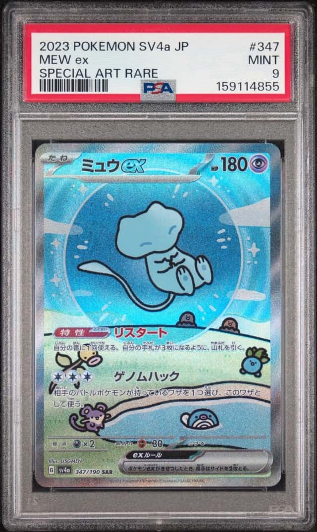 MEW ex