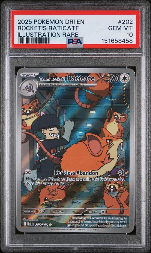 Rocket's Raticate
