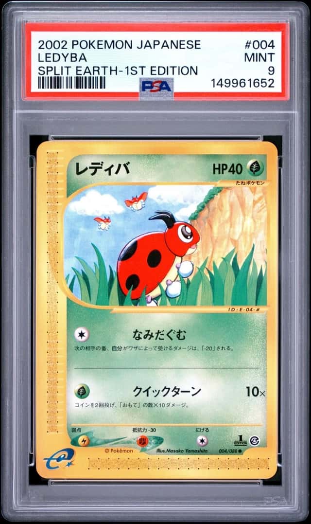 Ledyba