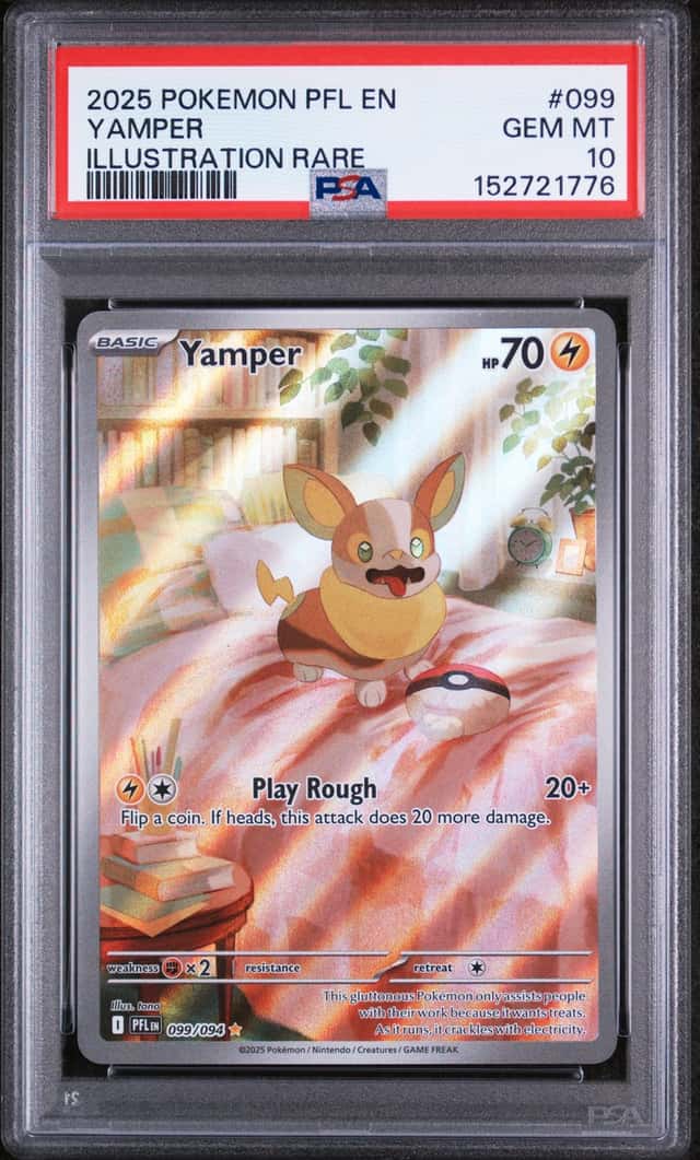 Yamper