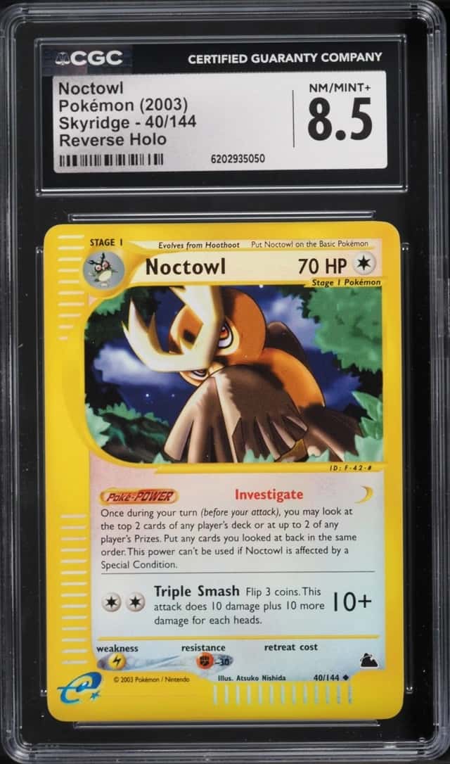 Noctowl