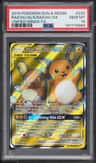 Raichu & Alolan Raichu Gx
