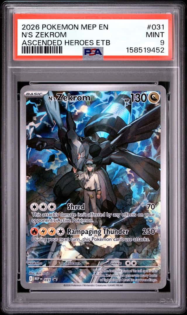 N's Zekrom