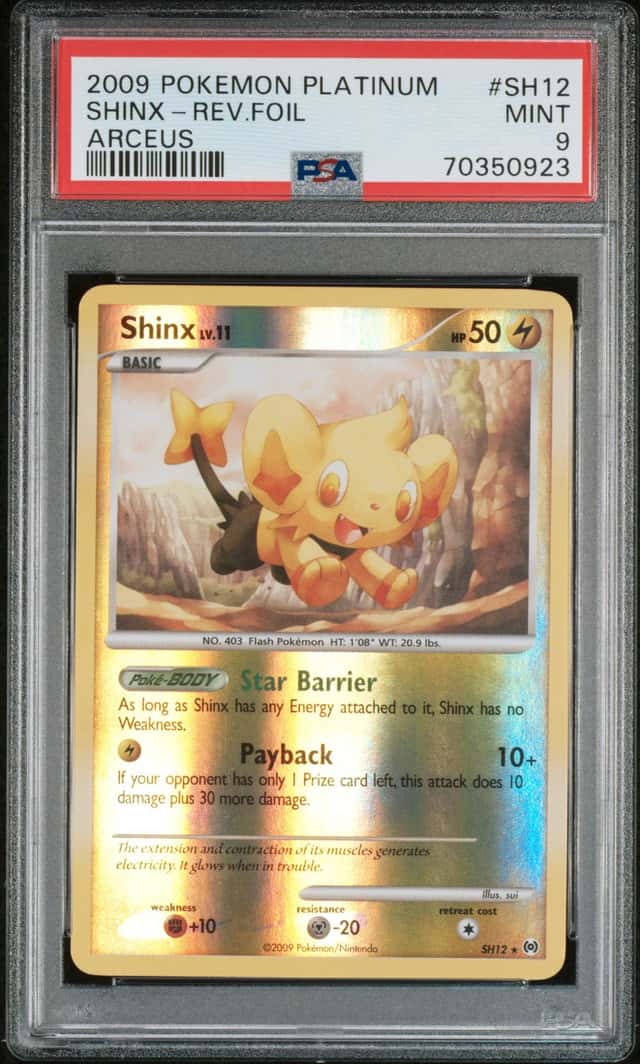 Shinx