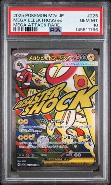 MEGA EELEKTROSS ex