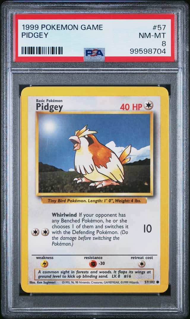 Pidgey