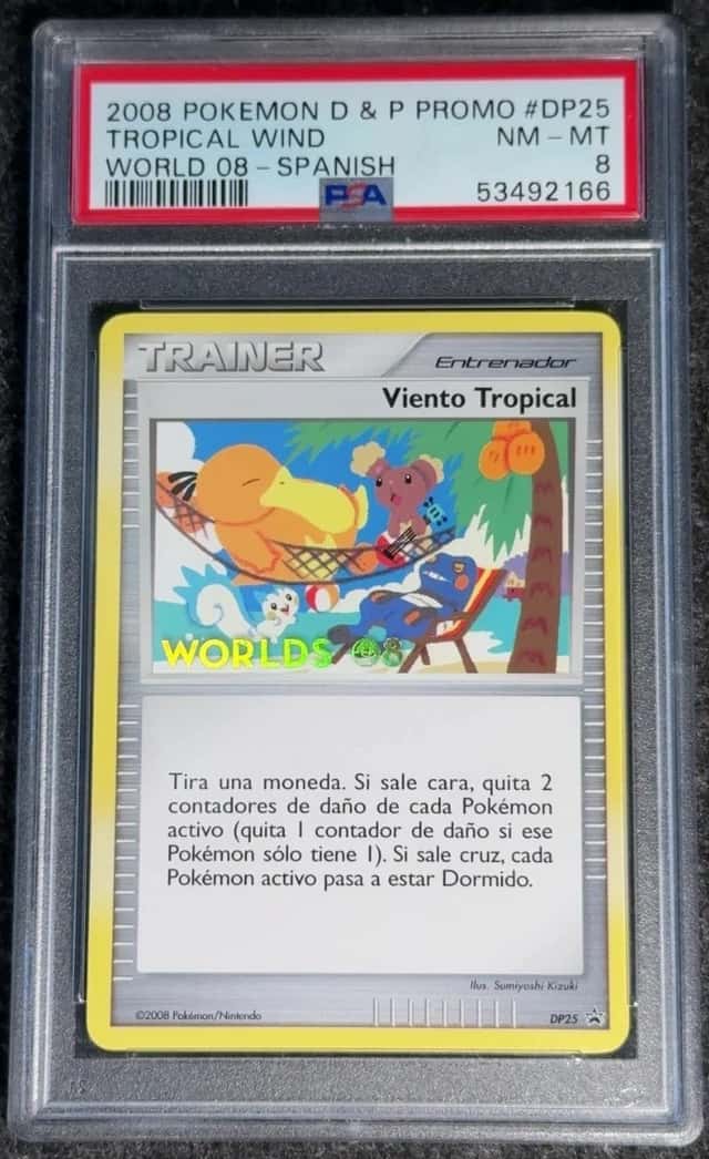 Tropical Wind