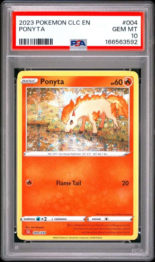 Ponyta