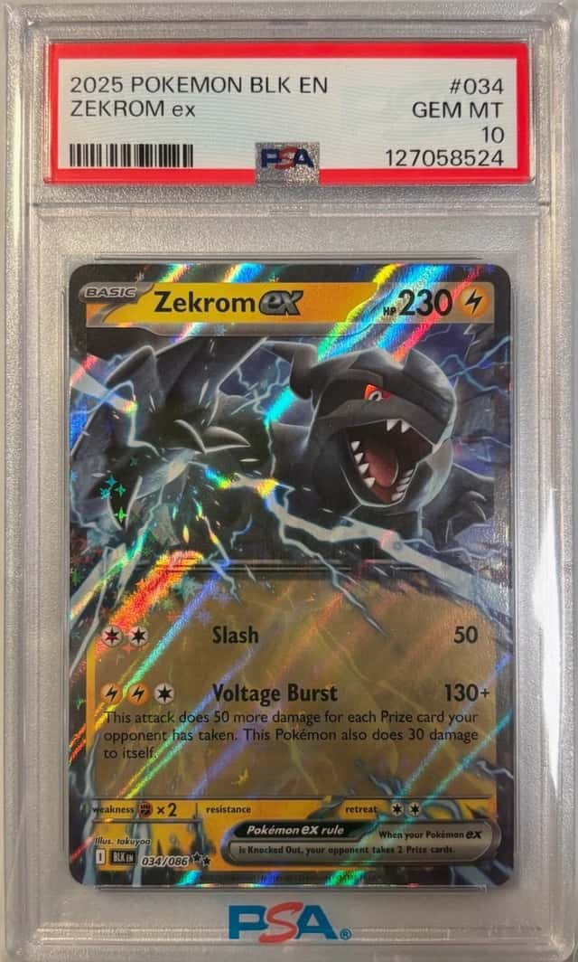ZEKROM EX